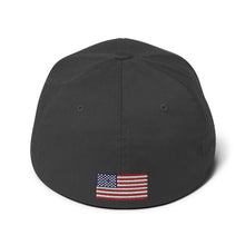 Load image into Gallery viewer, Combat Learjet Blackout FlexFit Hat