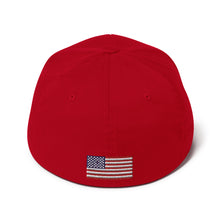 Load image into Gallery viewer, Combat Learjet Blackout FlexFit Hat