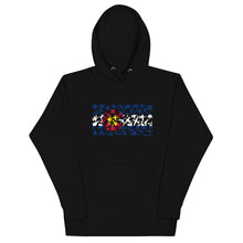 Load image into Gallery viewer, Colorado Plane Flag Hoodie