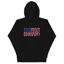 Load image into Gallery viewer, US Plane Flag Hoodie