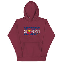 Load image into Gallery viewer, Colorado Plane Flag Hoodie