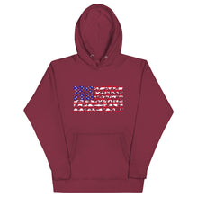 Load image into Gallery viewer, US Plane Flag Hoodie