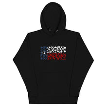 Load image into Gallery viewer, Texas Plane Flag Hoodie